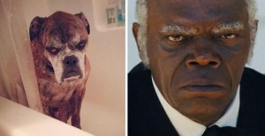 Create meme: Samuel El Jackson, Samuel l Jackson Django, Samuel l Jackson meme