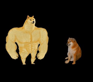 Create meme: doge Jock, inflated doge