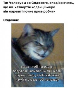 Create meme: cat, cat, cats