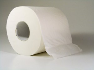 Создать мем: туалетной бумаги, рулон туалетной бумаги, папер