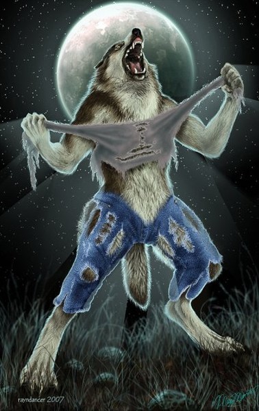 Create meme: wolf werewolf werewolf, werewolves wolves, furry wolves werewolves