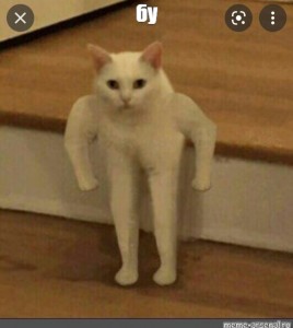 Create meme: meme Polyot, cat Jock meme, the cat with hands meme