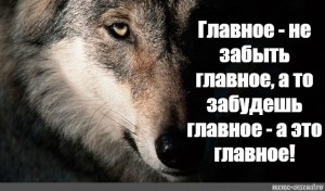 Главное не забыть. Мем волк это на новый год 2022. Твое имя по Волчьи Мем карта.