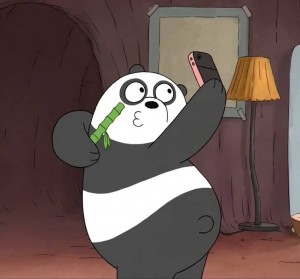 Создать мем: Мультфильм, вся правда о медведях панда селфи, Вся правда о медведях