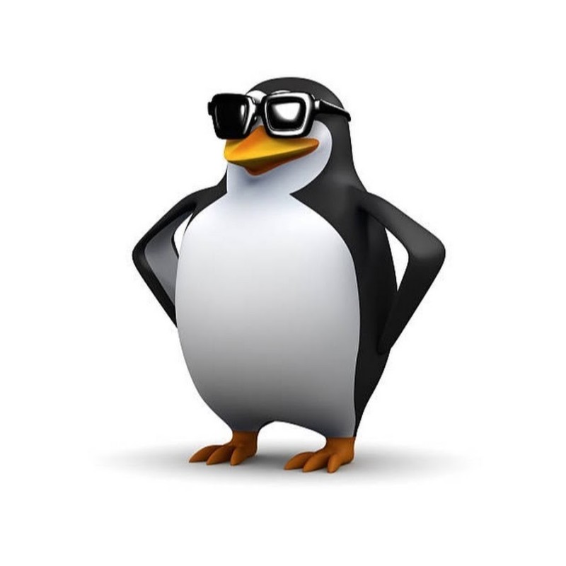 Create meme: meme penguin phone, evil penguin meme, evil penguin 