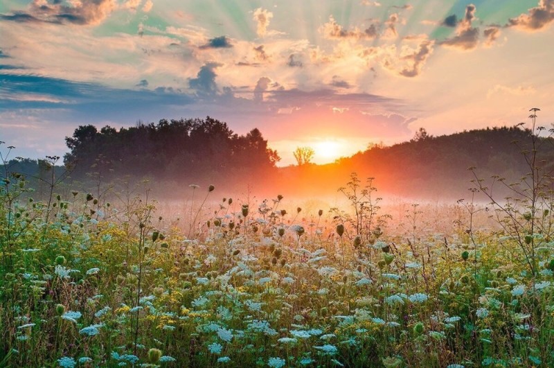 Create meme: beautiful dawn, meadow at dawn, morning sunrise