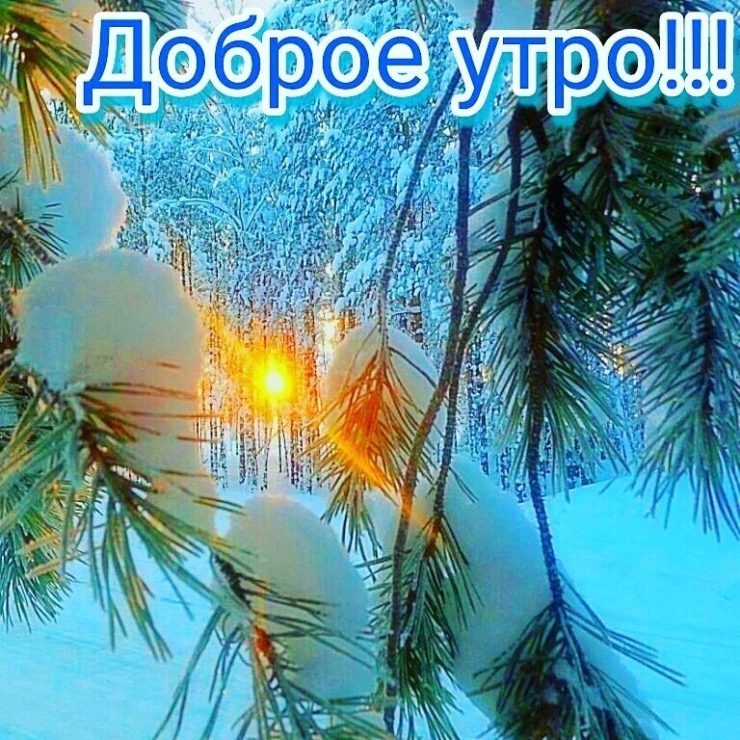 Create meme: Good winter morning, with a good frosty morning, good winter morning