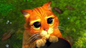 Create meme: the cat from Shrek with big eyes, cat Shrek, cat Shrek eyes