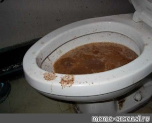 Create meme: dirty toilet, flush toilet, feces in the toilet