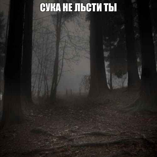 Create meme: Dark forest, dark photos, dark forest