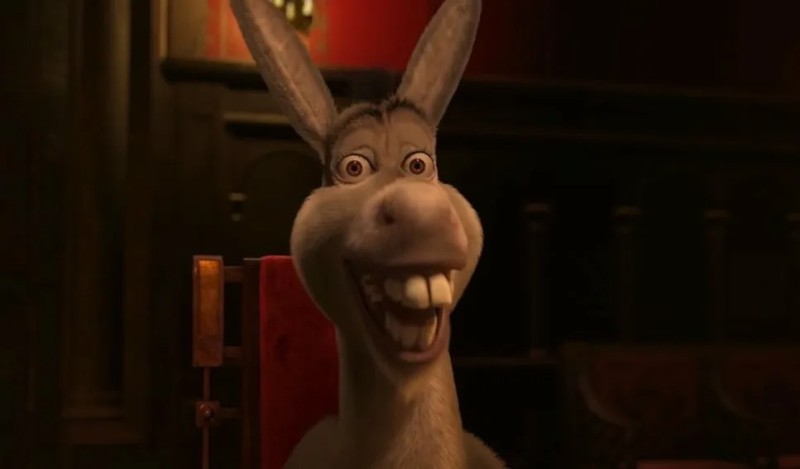 Create meme: donkey from Shrek meme, the jackass of shrek, donkey shrek 2