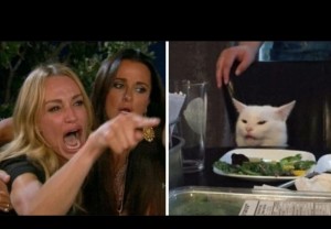 Создать мем: мем бабы и кот, мемы с котом и актрисой, мем с котом за столом
