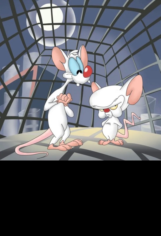 Create meme: cartoon pinky and brain, pinky and brain take over the world, pinky and the brain animated series