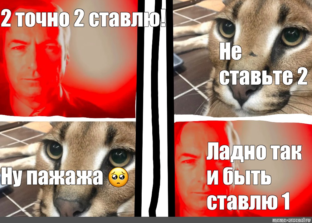 Точно 2. Кот злится Мем.