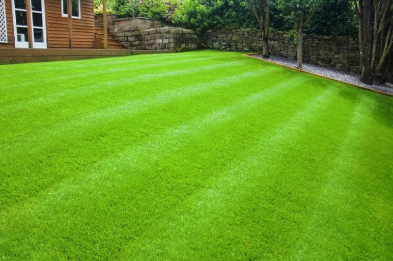 Create meme: green lawn, lawn , grass for the lawn