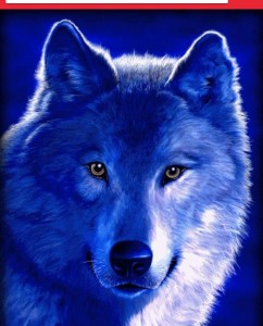 Create meme: wolf, the wolf is a good, the wolf is beautiful