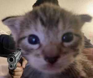Создать мем: опасный кот, кот застрелился, коты смешные моменты