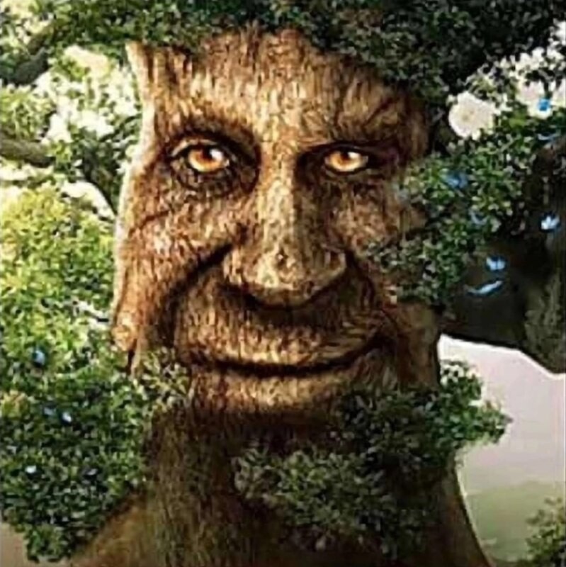 Create meme: a tree with a face, dreamwastaken, the mystical tree