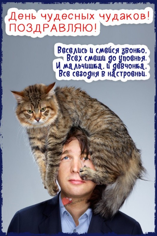 Create meme: holiday of good mood on February 4, cat people, postcard