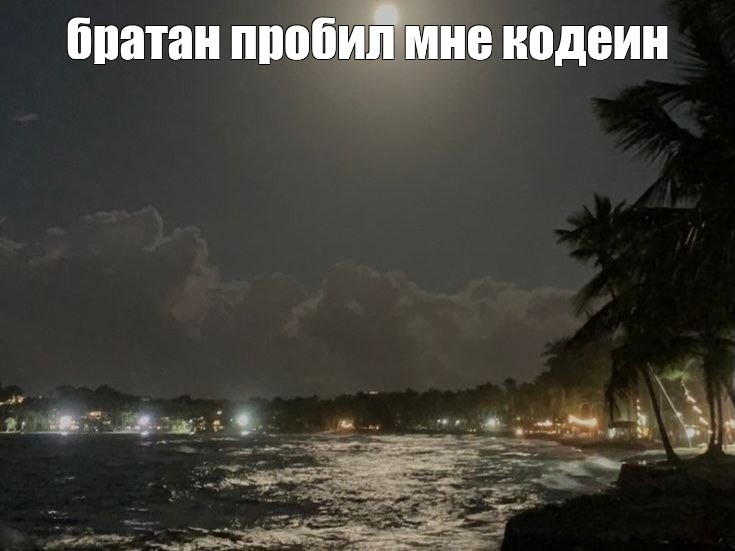 Создать мем: palm tree, людей, пляж ночь