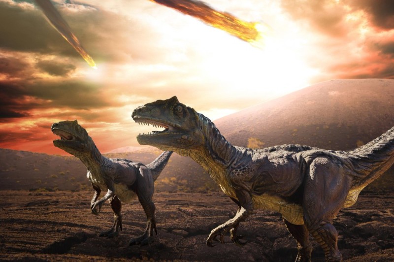 Create meme: the extinction of the dinosaurs era, extinction of dinosaurs asteroid fall, the world of dinosaurs