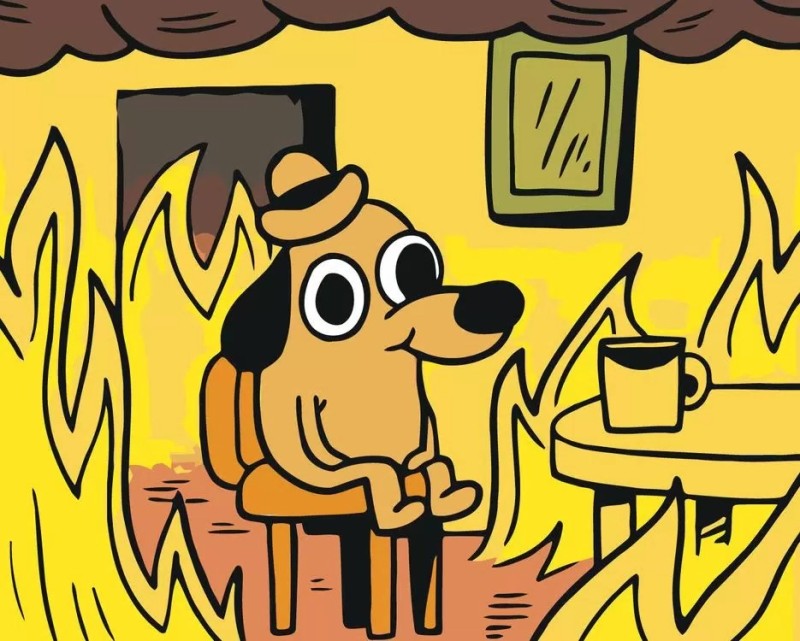 Create meme: meme dog in a burning house, a dog is sitting in a burning house, dog in the burning house