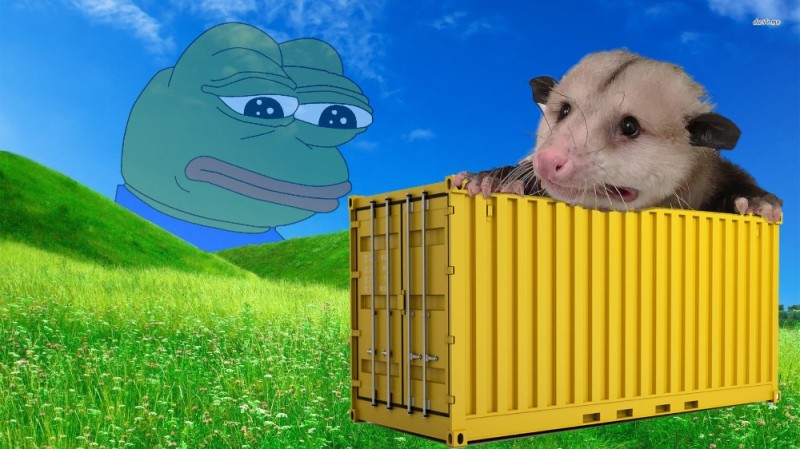 Create meme: Pepe's toad background, hamster at the cottage, hamster 