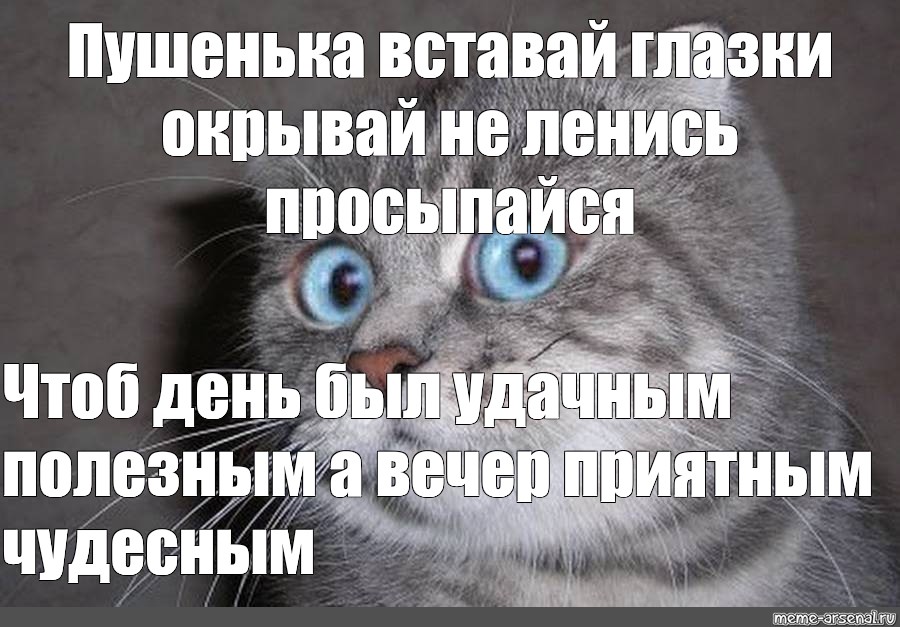 Песня чтоб проснуться. Доброе утро глазки вы проснулись. Пушенька. Кот честно сказать я в шоке. Просыпайся глазки открывай Русланчик.