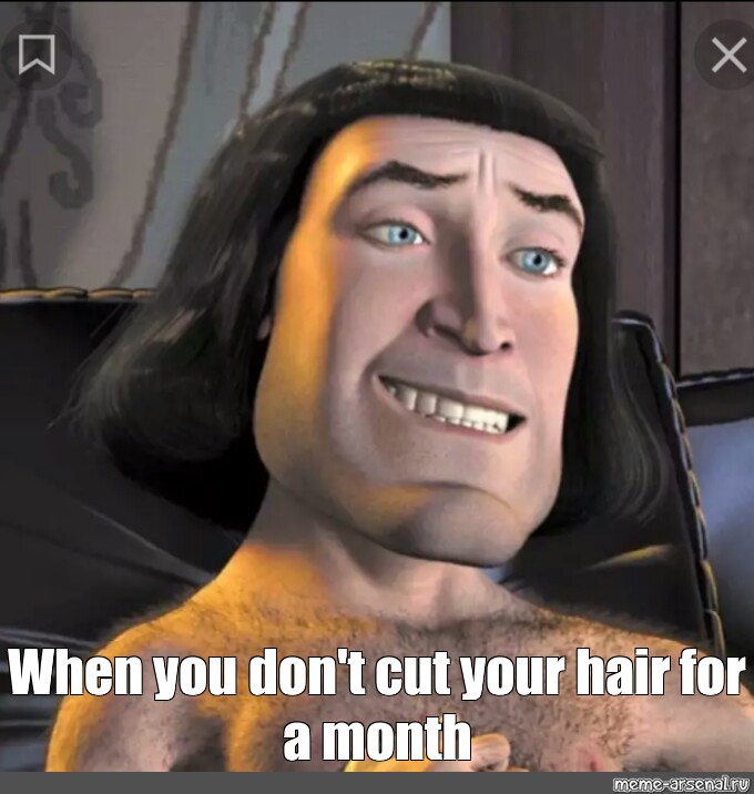 24+ lord farquaad hair meme - MarilyamShae