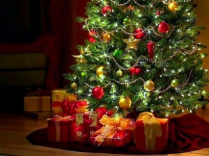 Create meme: Christmas tree, Christmas new year, natural tree