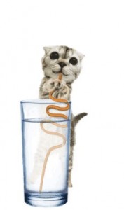 Create meme: cat, kitten in a glass, kitty