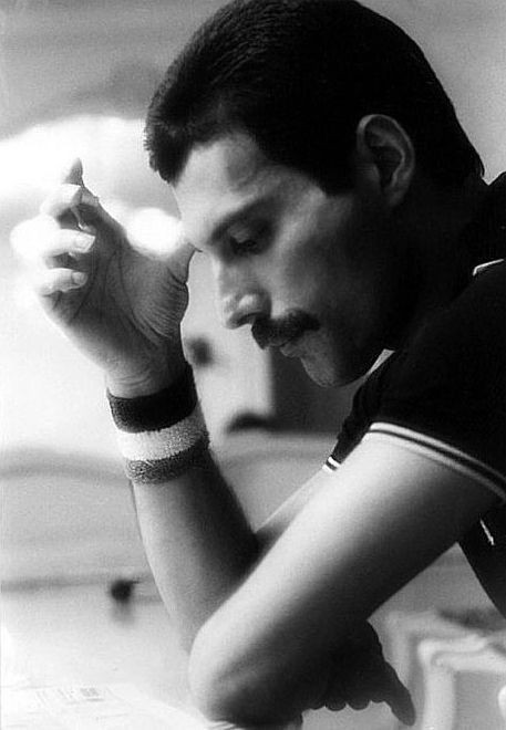 Create meme: Freddie mercury , Freddie mercury, Freddie Mercury profile