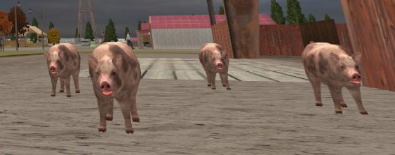 Create meme: pig simulator, pigs, A game about pigs