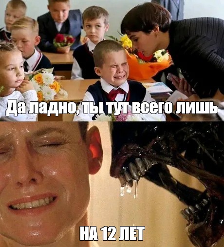 Создать мем: null