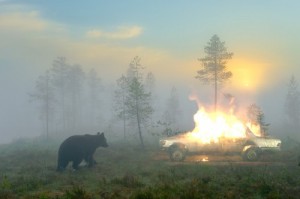Создать мем: brown bear, сгорел, на севере