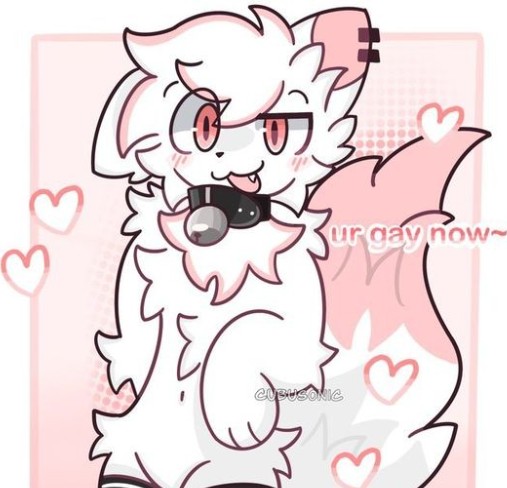 Create meme: furry femboy, silly cat boykisser, boykisser stickers