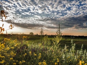 Create meme: bad weather photo, the Wallpapers of dawn, nature sunrise