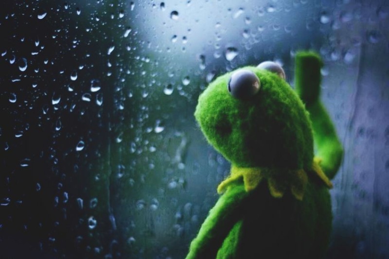 Create meme: Kermit the frog sad, Kermit the frog , kermit the frog by the window