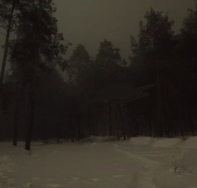 Create meme: dark forest, the forest dark, the landscape is gloomy