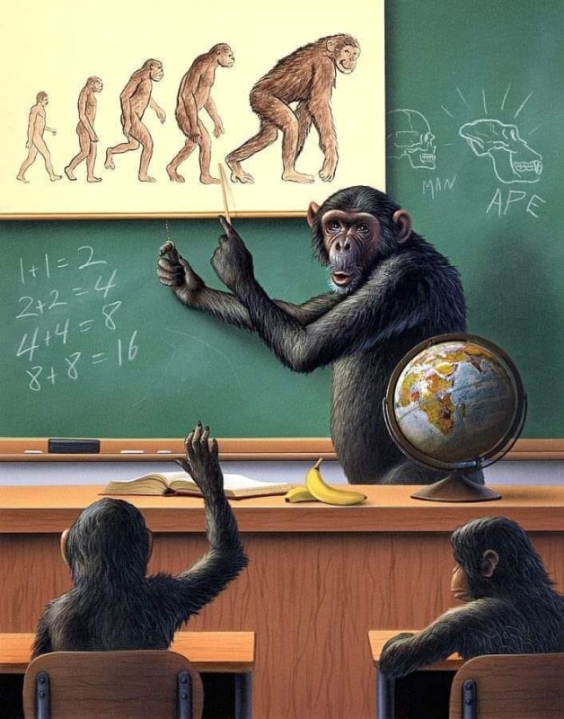 Create meme: monkey teacher, monkey at school, stupid monkey at school