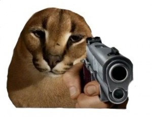 Создать мем: кот с пистолетом, кот шлепа, каракал шлепа мем
