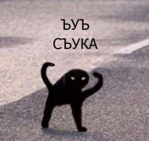 Создать мем: черный кот, черный кот мем, черный кот мем ъуъ