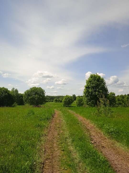 Create meme: country road, nature , meadow meadows