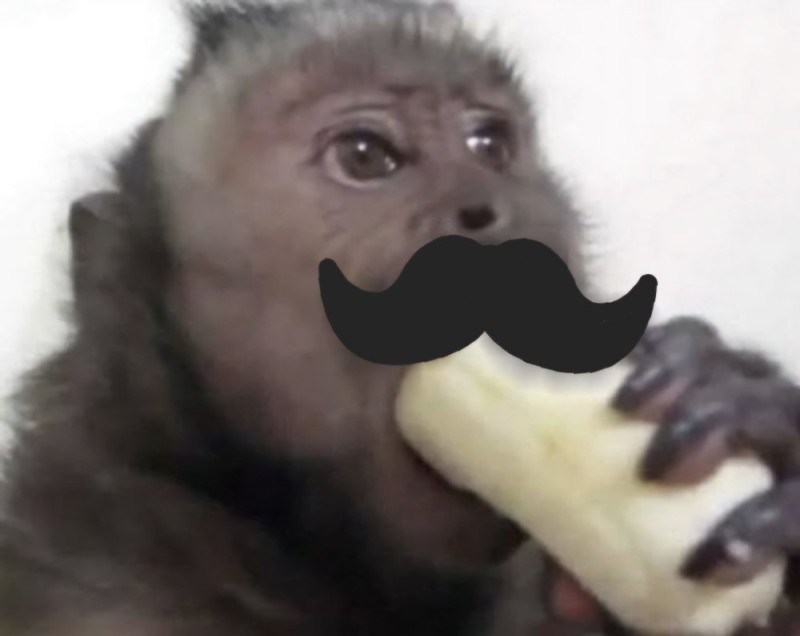 Create meme: monkey, monkey with a banana