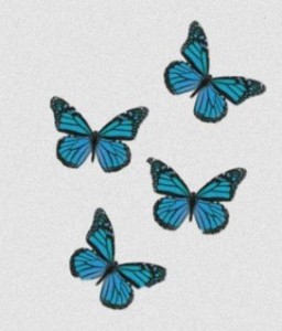 Создать мем: butterfly butterfly, бабочка, blue butterfly
