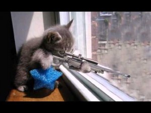 Create meme: sniper, sniper, cat funny