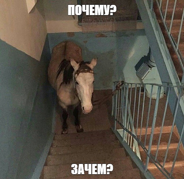 Мем ПОЧЕМУ ЗАЧЕМ Все шаблоны Meme 9382