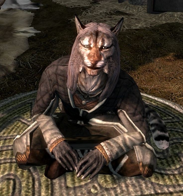 Create meme: Kajit Skuma, skyrim kajit, kajit from skyrim