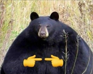 Создать мем: смешные фотографии животных, медведь, медведь за