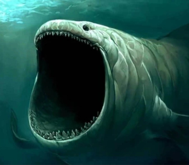 Create meme: ikan nabi yunus, sea monster, how deep is the ocean realbook